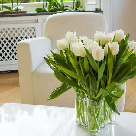 Falkenberg 3* Дюссельдорф