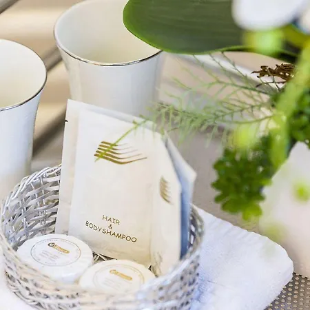 Falkenberg 3* Дюссельдорф