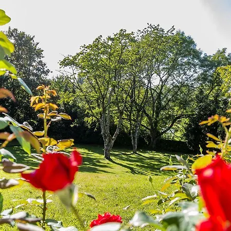 Falkenberg Дюссельдорф