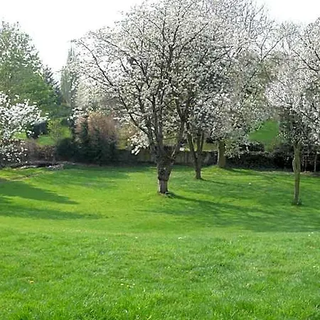 Falkenberg Dusseldorf
