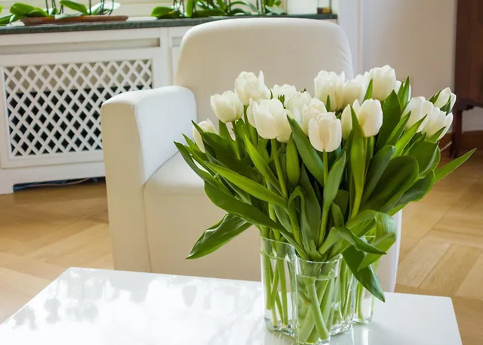 Falkenberg 3* Düsseldorf