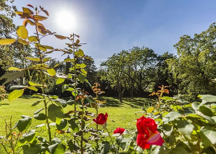 Falkenberg Düsseldorf