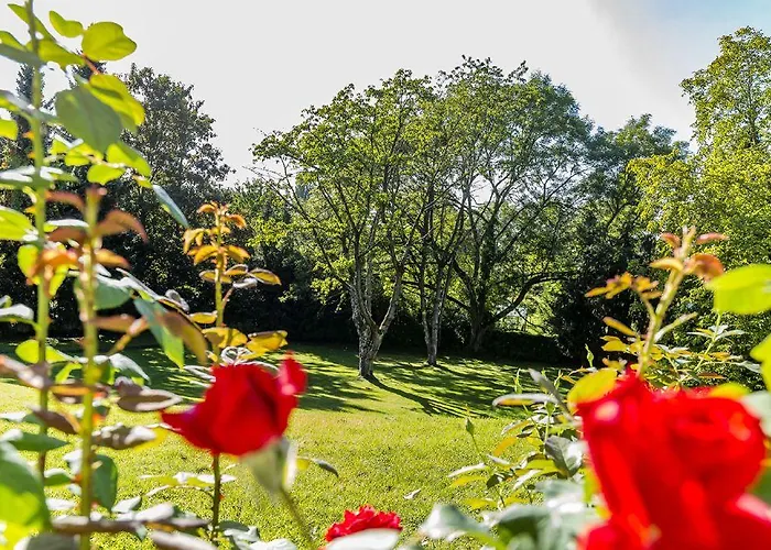 Falkenberg دوسلدورف